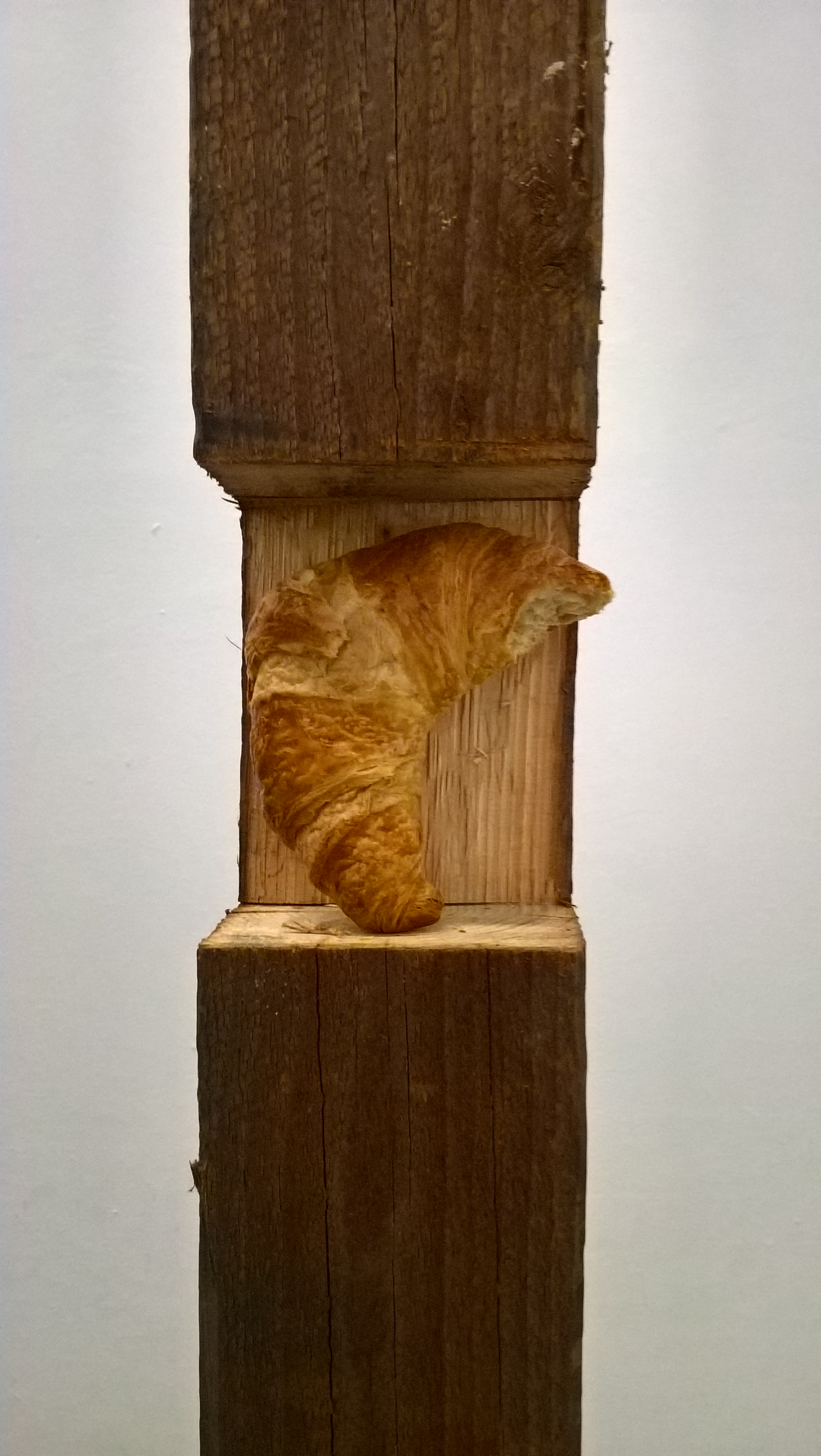 wp_20161209_14_53_32_pro